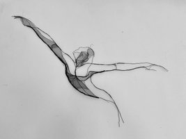 bart wisbrun te zien op het kunstenfestival in Loosbroek